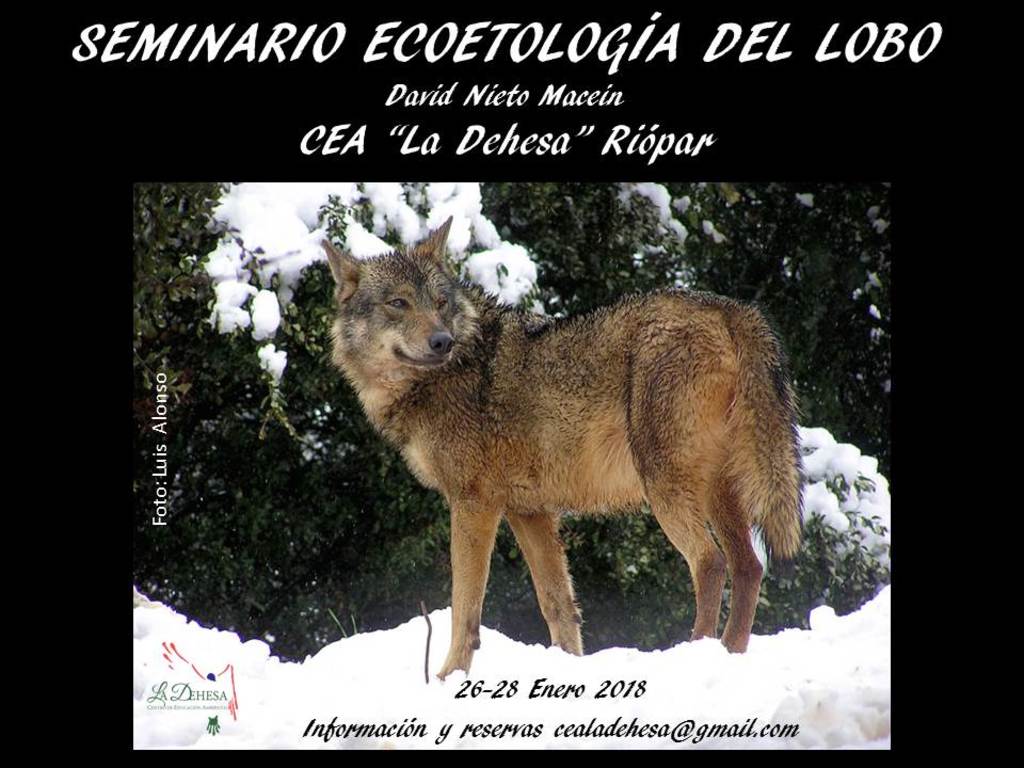 SEMINARIO ECOETOLOGÍA DEL LOBO CON DAVID NIETO MACEIN