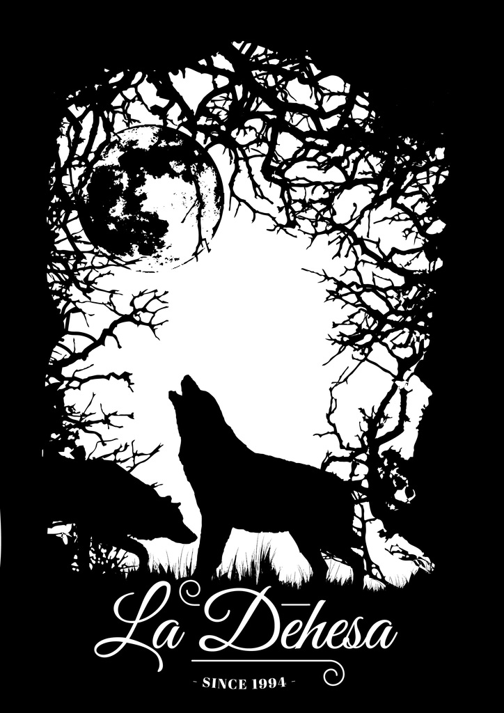 CAMISETAS