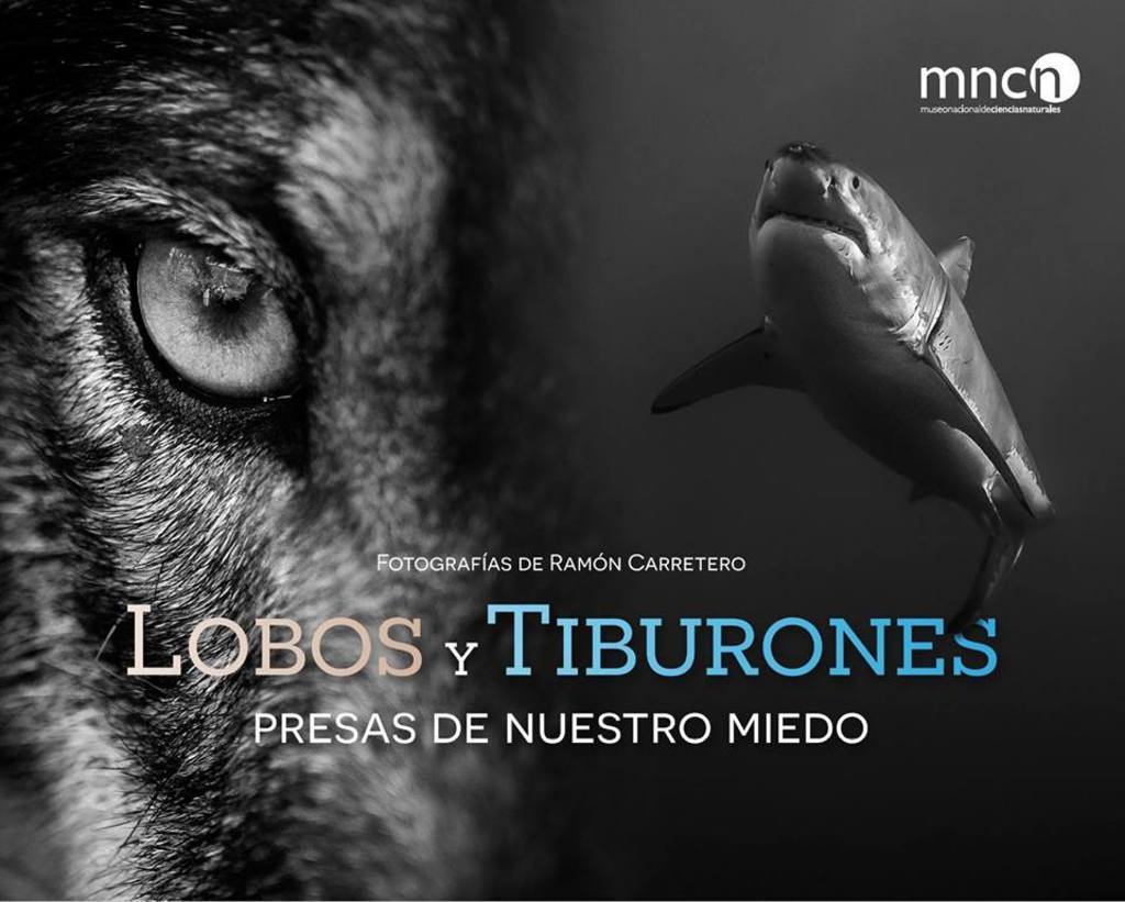 Reseña sobre la exposición “Lobos y tiburones, presas de nuestro miedo”