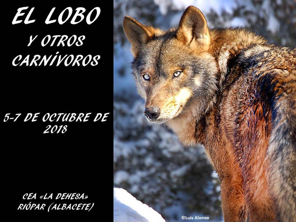 JORNADAS SOBRE EL LOBO Y OTROS CARNÍVOROS