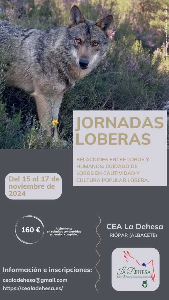 JORNADAS LOBERAS  RELACIONES ENTRE LOBOS Y HUMANOS: CUIDADO DE LOBOS EN CAUTIVIDAD Y CULTURA POPULAR LOBERA 