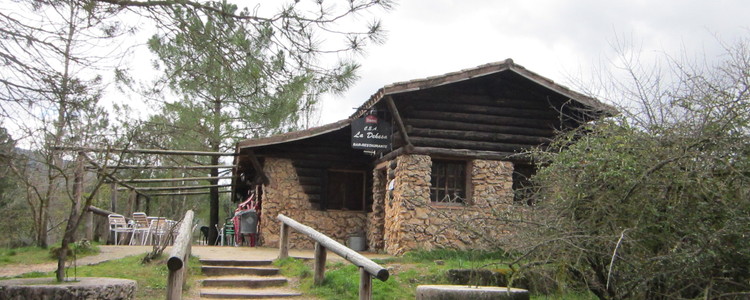 Restaurante / Cafetería y Terrazas