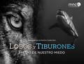 Reseña sobre la exposición “Lobos y tiburones, presas de nuestro miedo”