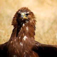 Itinerario de la naturaleza CEA La Dehesa