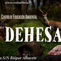 Itinerario de la naturaleza CEA La Dehesa