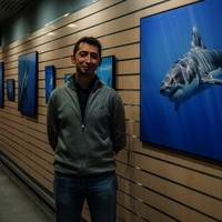 Reseña sobre la exposición “Lobos y tiburones, presas de nuestro miedo”