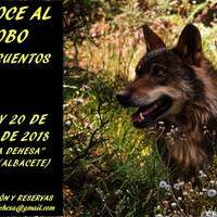 Grupos