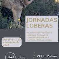 JORNADAS LOBERAS  RELACIONES ENTRE LOBOS Y HUMANOS: CUIDADO DE LOBOS EN CAUTIVIDAD Y CULTURA POPULAR LOBERA 