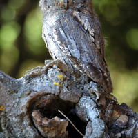 Itinerario de la naturaleza CEA La Dehesa