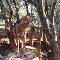 Itinerario de la naturaleza CEA La Dehesa