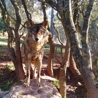 Itinerario de la naturaleza CEA La Dehesa